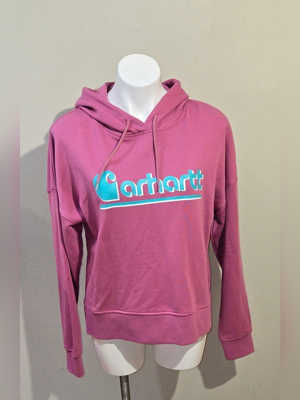 NWT Carhartt Women's TENCEL Fiber Series Loose Fit Fall Graphic Hooded Sweatshir